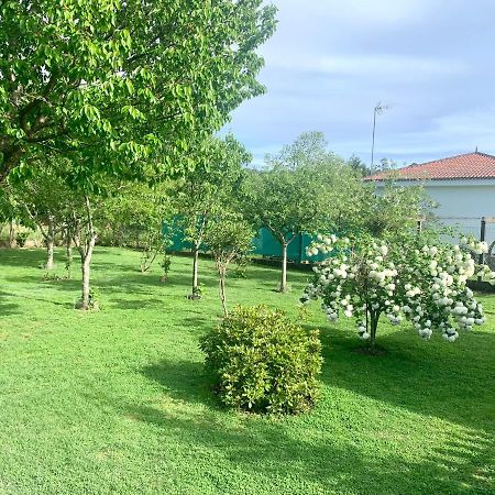 Apartament A Casa Vermella Con Jardin A 10 Minutos De Santiago De Compostela Ortono Zewnętrze zdjęcie