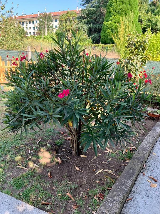 Apartament A Casa Vermella Con Jardin A 10 Minutos De Santiago De Compostela Ortono Zewnętrze zdjęcie