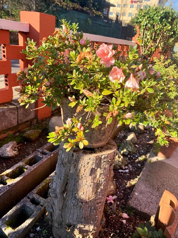 Apartament A Casa Vermella Con Jardin A 10 Minutos De Santiago De Compostela Ortono Zewnętrze zdjęcie